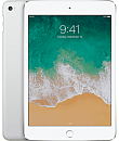 iPad mini 4